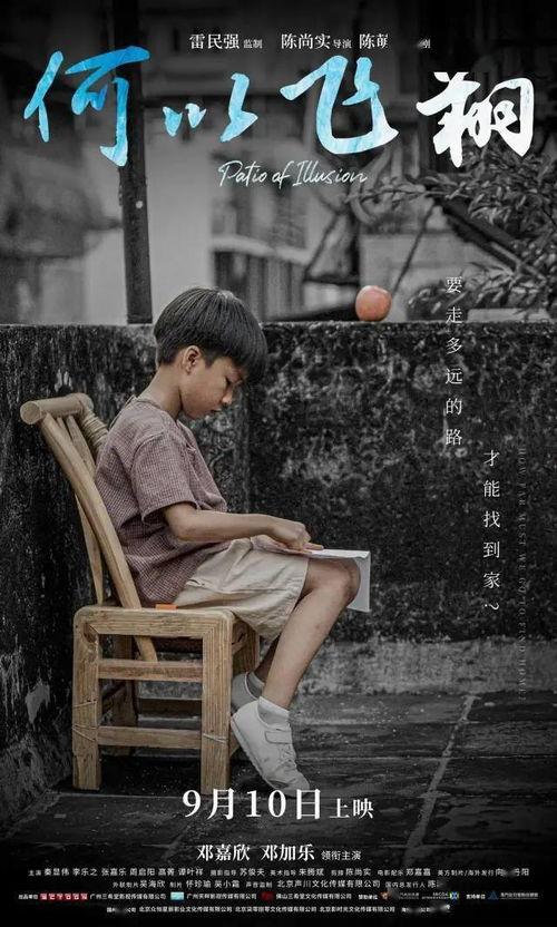 何以飞翔,揭秘梦想翱翔的力量与奥秘