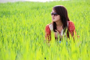 草裙春色,探寻自然与艺术的和谐交融