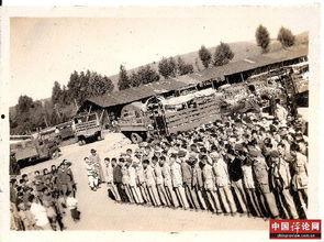 南侨机工·被遗忘的卫国者,抗战岁月里的海外赤子，被遗忘的卫国英雄