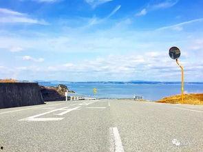 重生后，我分手回岛赶海桶桶爆仓（重生后我分手回岛赶海桶桶爆仓）,分手回岛赶海，桶桶爆仓的奇妙经历