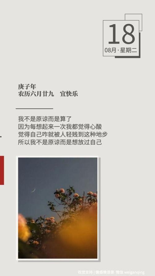 归途漫漫终有光