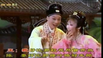 心花放,探寻心灵绽放的奥秘之旅