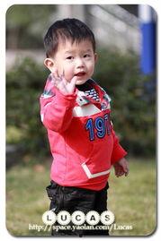 罗?锡的啰嗦啰嗦,揭秘生活琐事中的趣味哲学